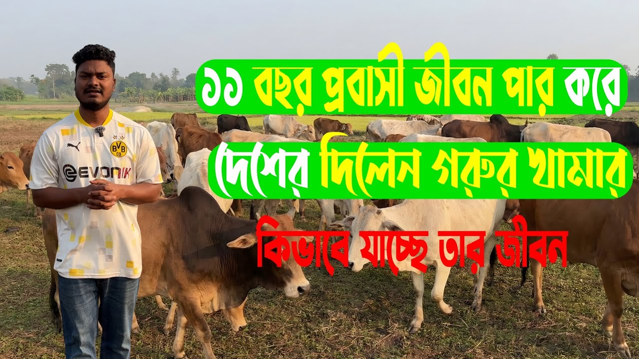 প্রবাস ছেড়ে দেশে ফিরে যেভাবে গরুর খামারে সফল হলেন এই কৃষক