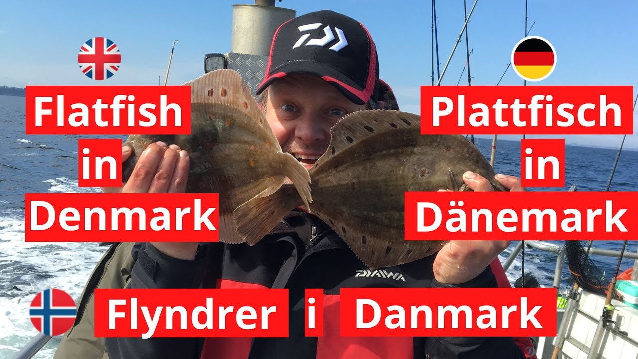 Flatfish fishing techniques in Denmark
