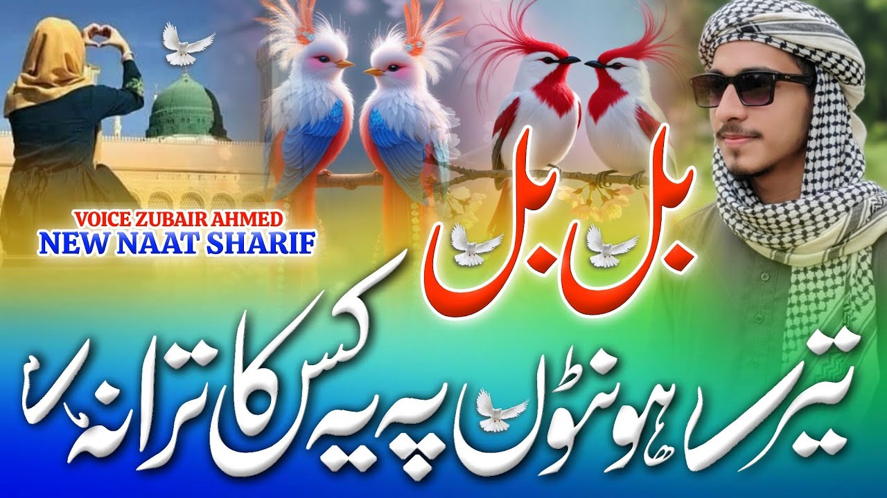 2026 Best Madina Naat Sharif - Very Heart Touching Naat - Bulbul Tere Honto Per Kiska Tarana hai