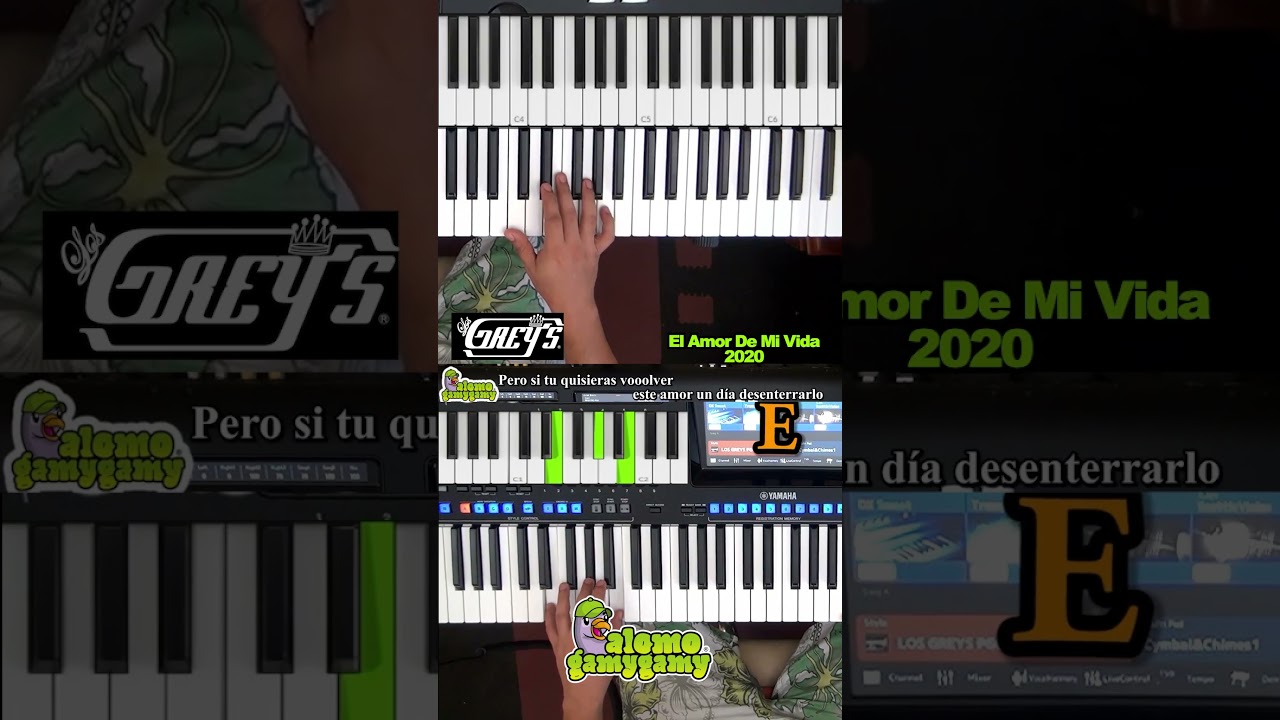 Los Greys: The Love of My Life - Текст песни 