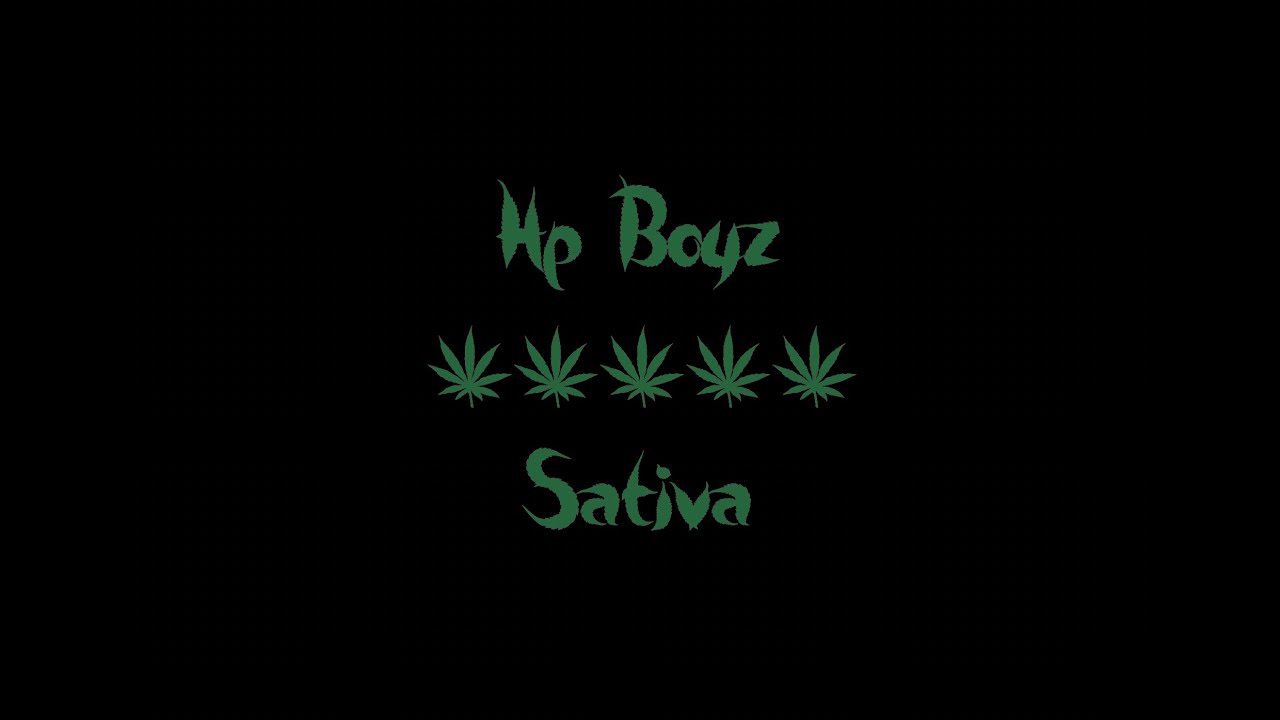 Hp Boyz - Sativa (unreleased)