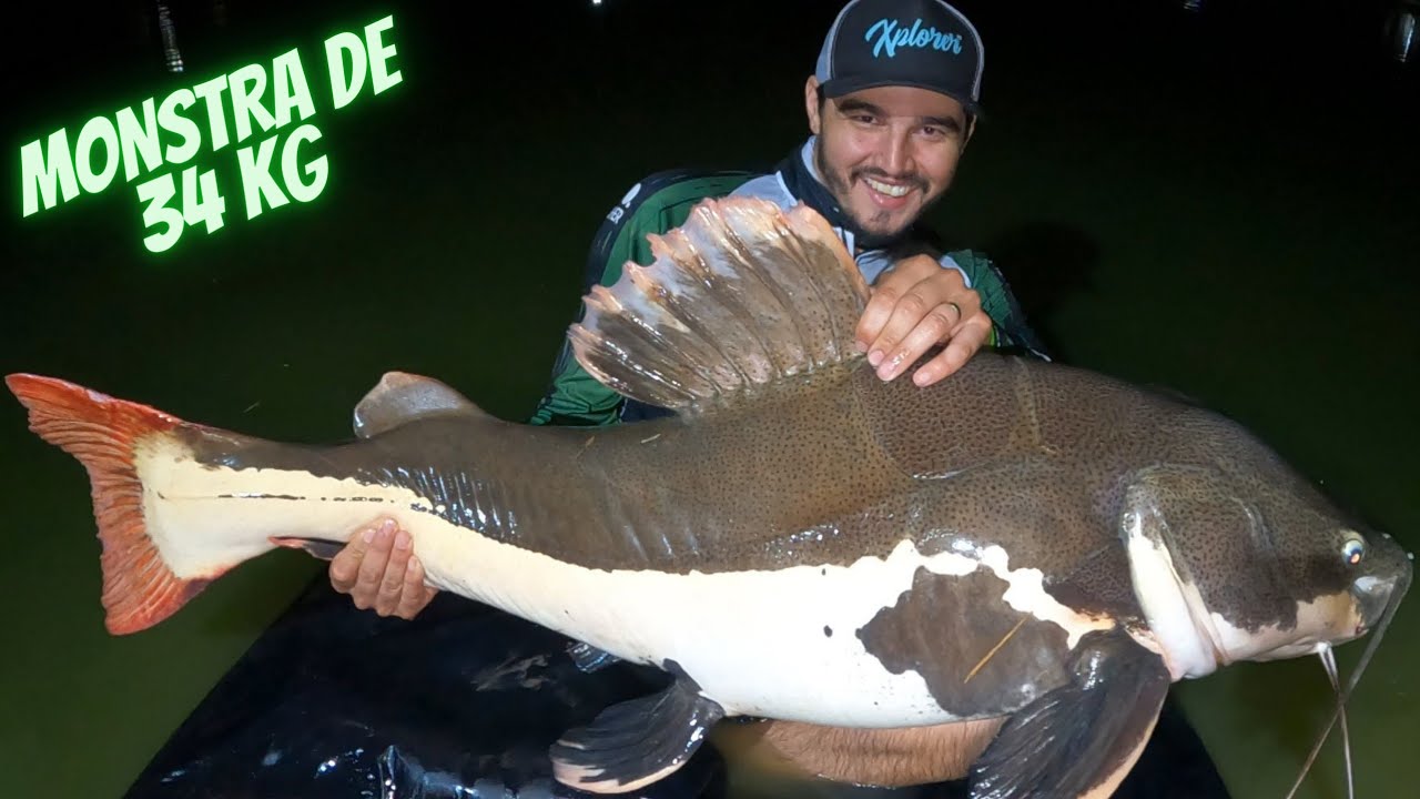 UMA MONSTRA DE 34 KG E MUITO MAIS!!! Pesqueiro Stella Bilac-SP