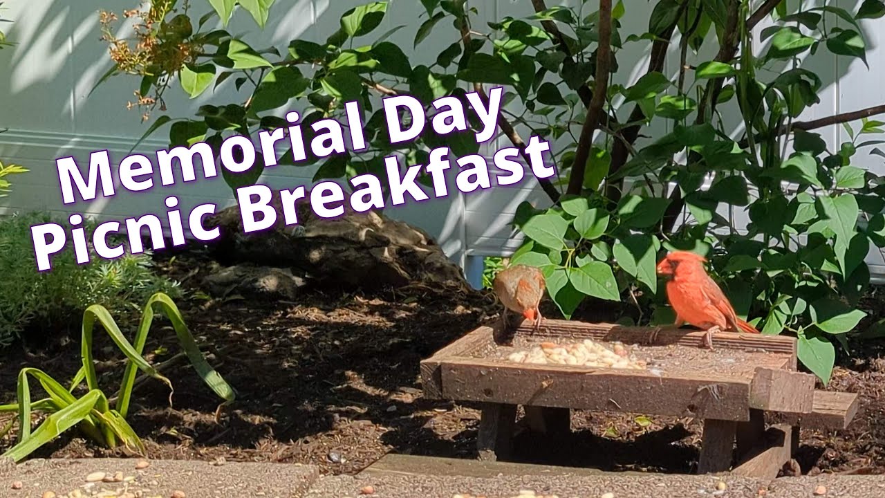 Memorial Day Breakfast