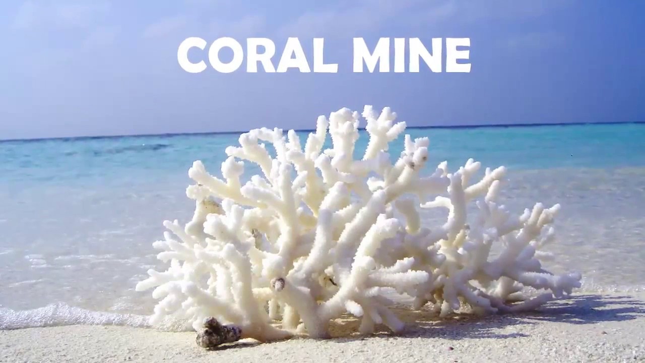 Coral Mine тест на ОВП  рH.