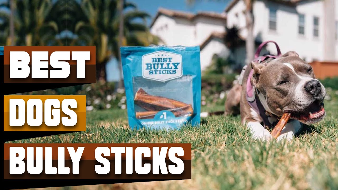 Best Bully Sticks For Dog In 2026 - Top 10 Bully Sticks For Dogs Review