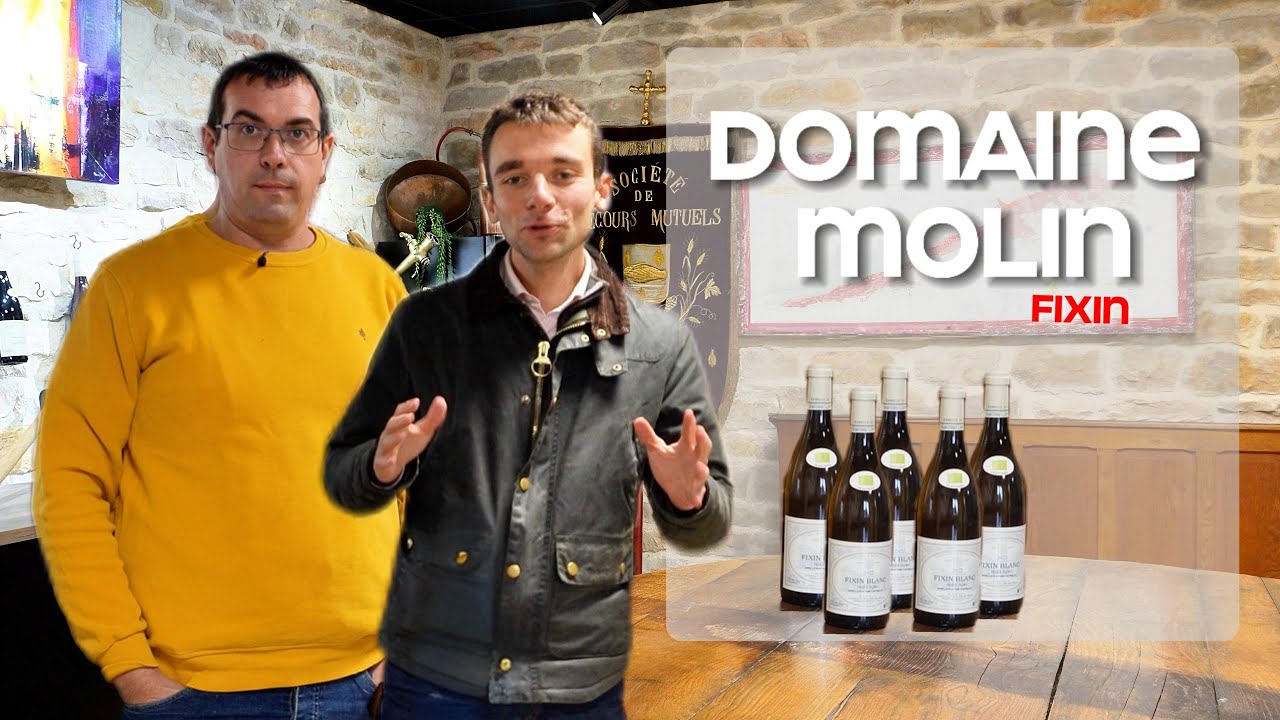 🍇 Interview avec le Domaine Molin à Fixin, Bourgogne | Le Vin en Poupe 🍷