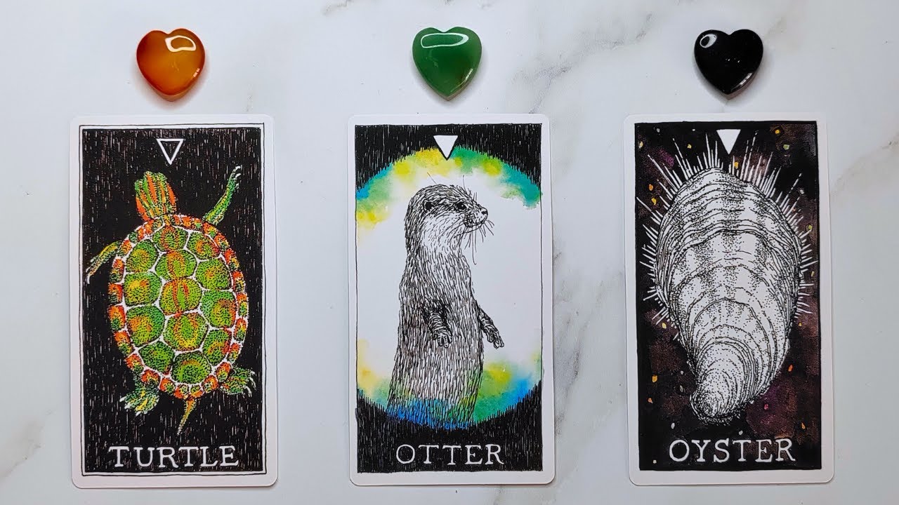 GOOD NEWS AND BLESSINGS COMING INTO YOUR LIFE! 🌈😇🍀 Pick A Card 🔮✨ Timeless Tarot Reading