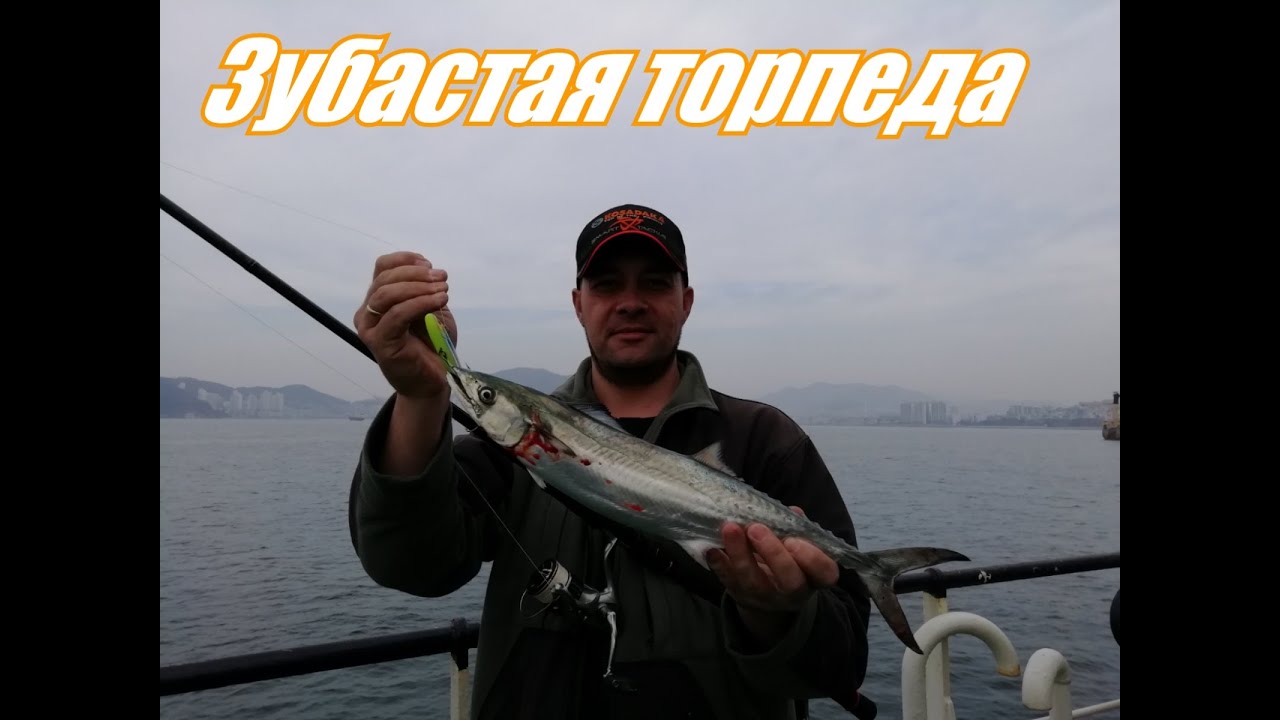 Рыбалка в Корее! Fishing in Korea! Макрель, скумбрия!