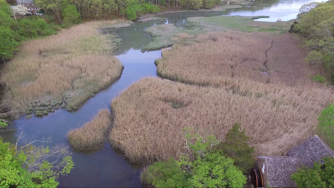 Setauket Millpond, Long Island NY