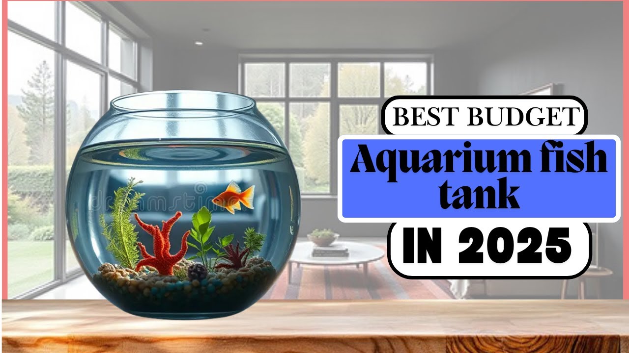 Best Budget Aquarium fish tank in 2025 ( Best Fish Tanks for in 2025) #fishkeepinghobby