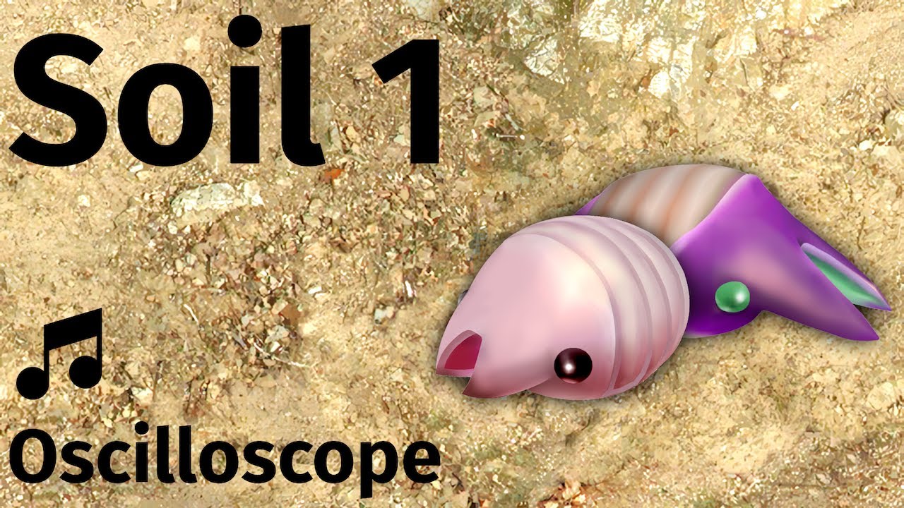 Soil 1 - Pikmin 2 (High Quality + Oscilloscope)