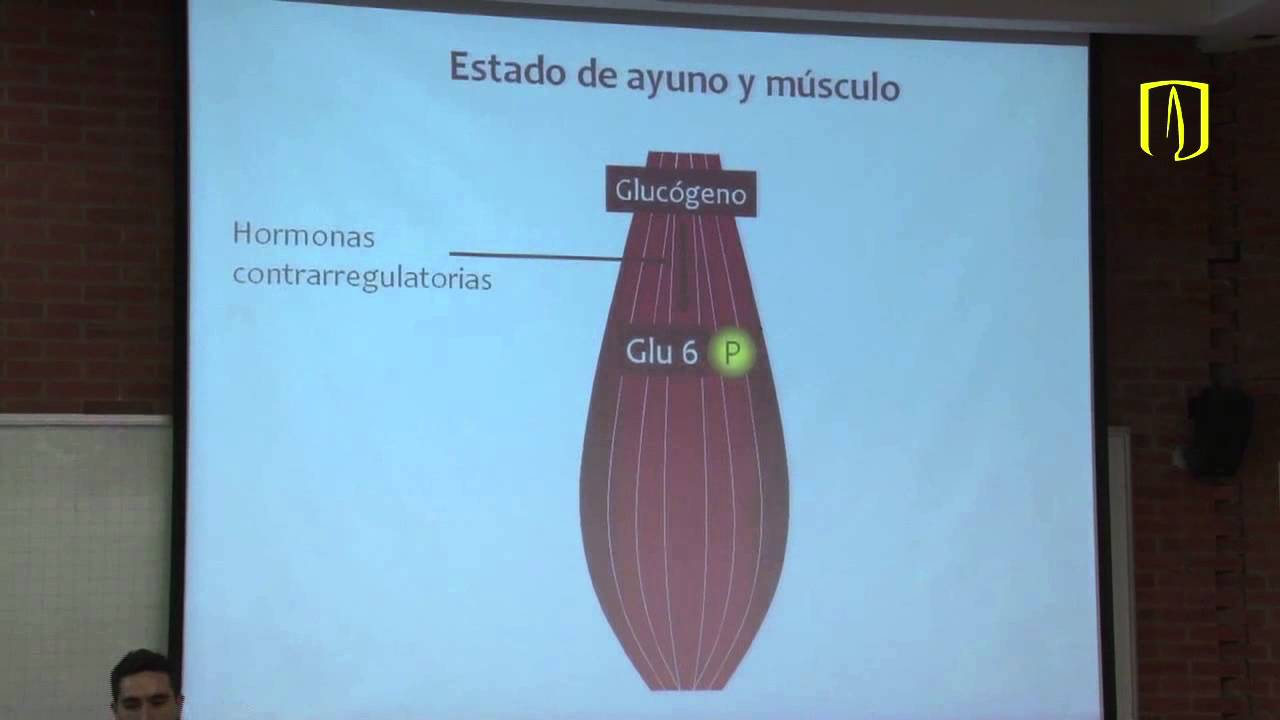 Estados metabólicos nutricionales - Bioquímica médica