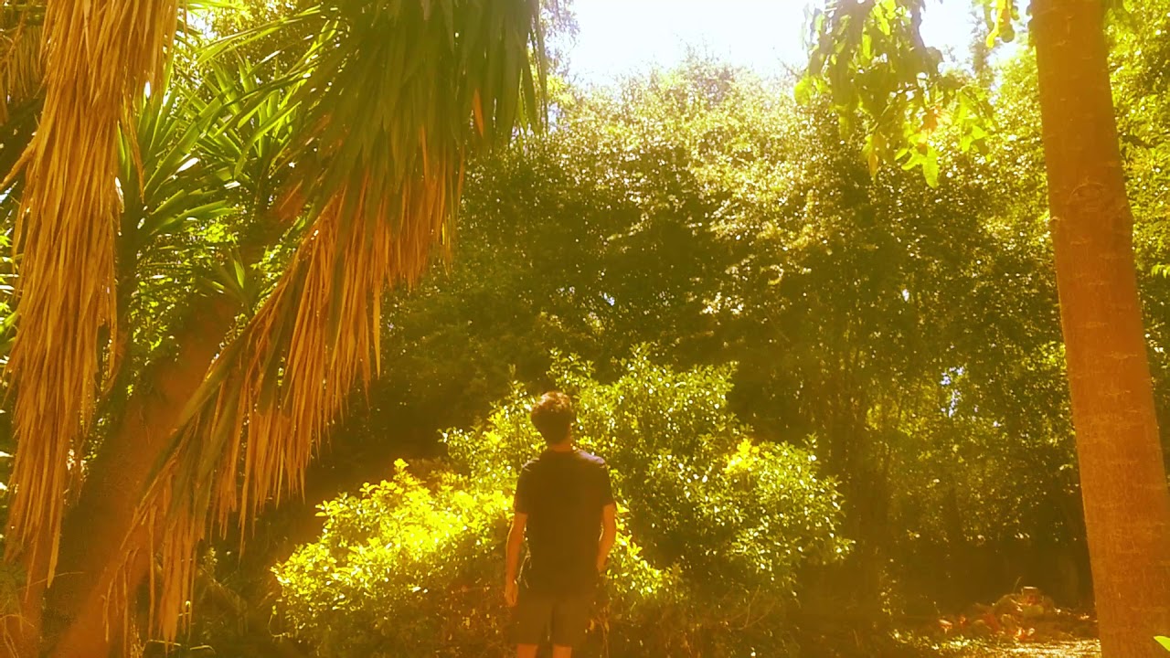 Le Light
