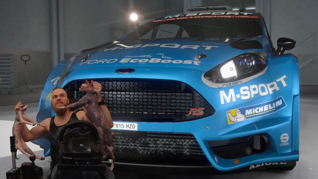 WRC 6 - Аргентина, кокпит G27
