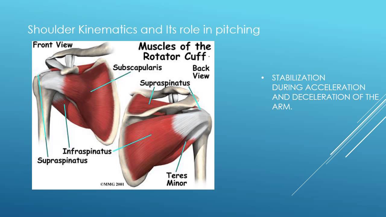 Biomechanical Analysis of the pitching motion video