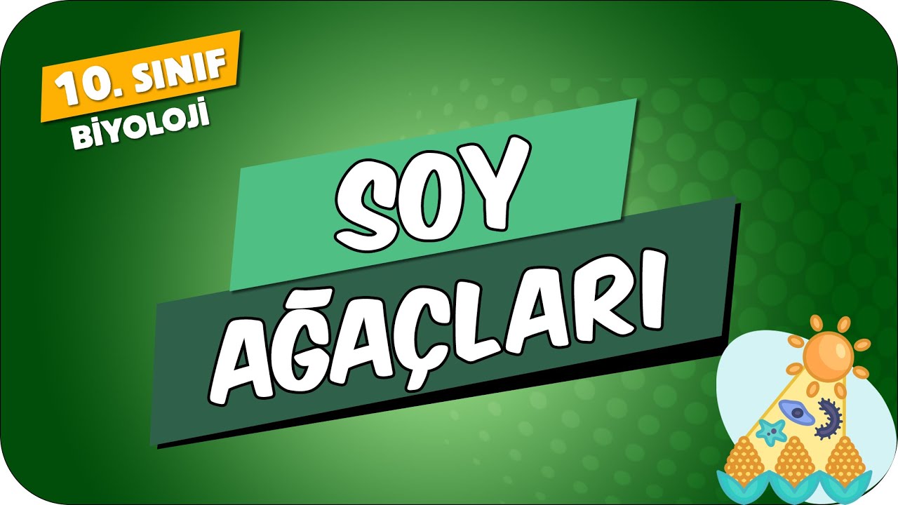 Soy Ağaçları | 10.Sınıf Biyoloji #2024