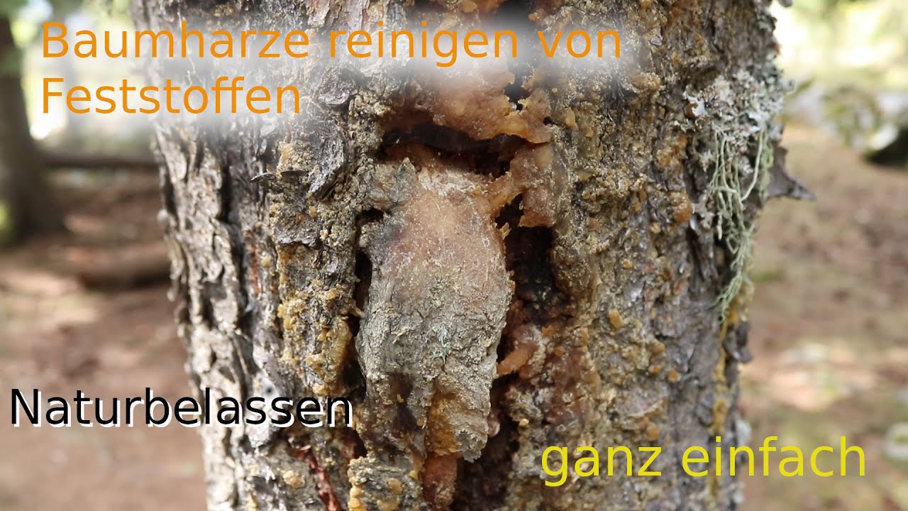 Harze reinigen & Kindheitserinnerungen wecken – Eine Reise in die Vergangenheit!