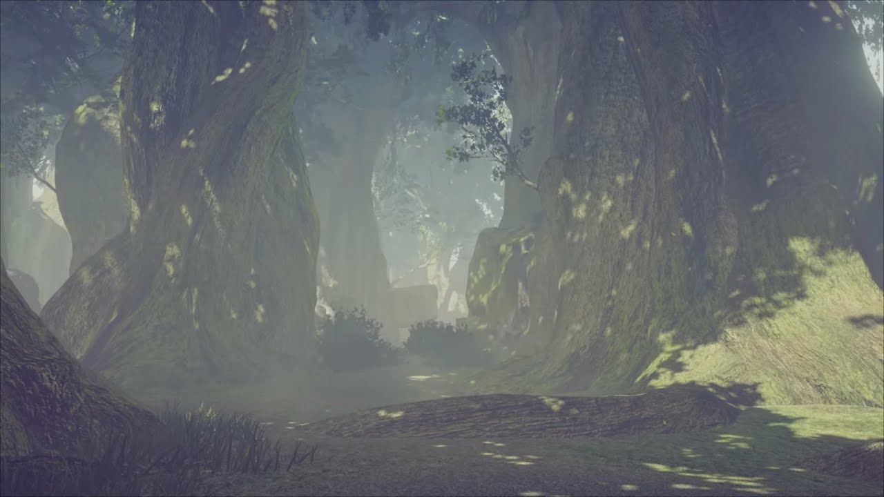 NieR Automata, The Forest ambience