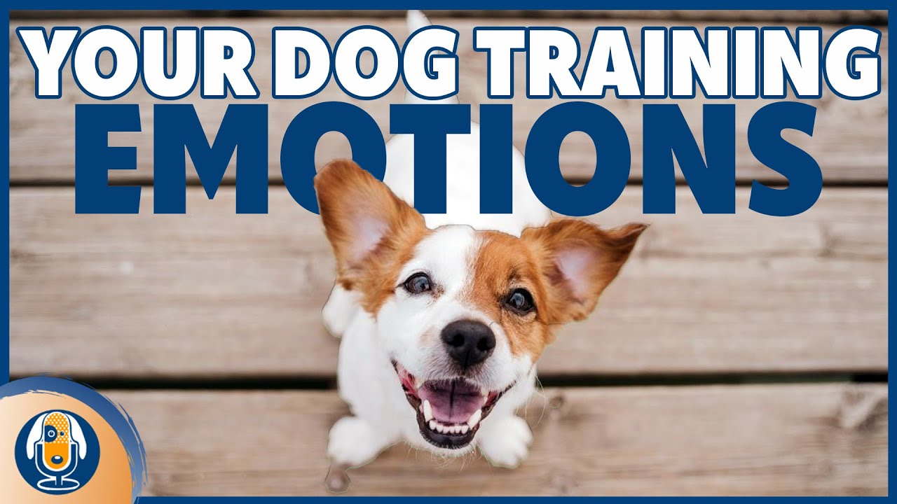 Mindshifting Dog Behavior Problems To Overcome Extreme Training Challenges #221 #podcast