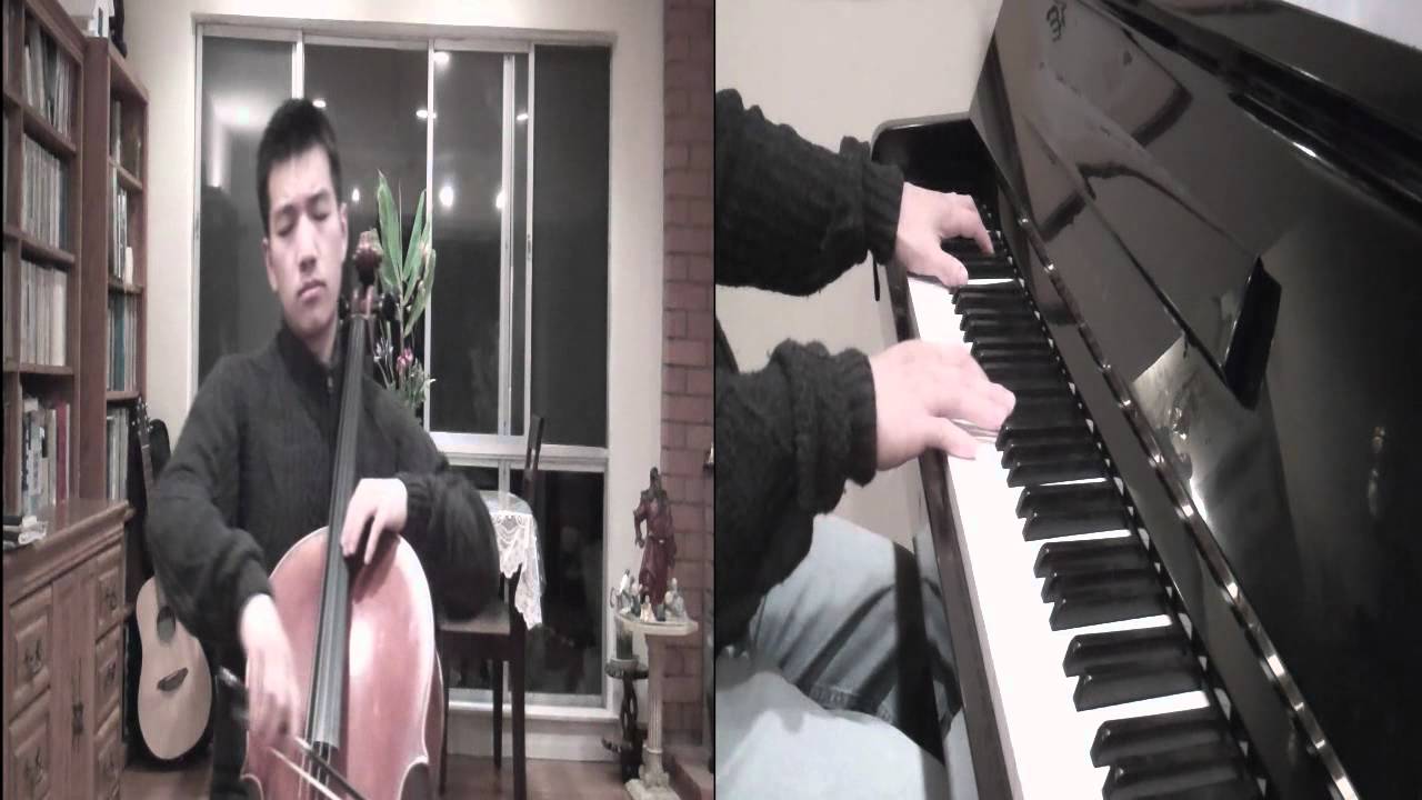 Christina Perri: The Lonely ( Cello Cover)