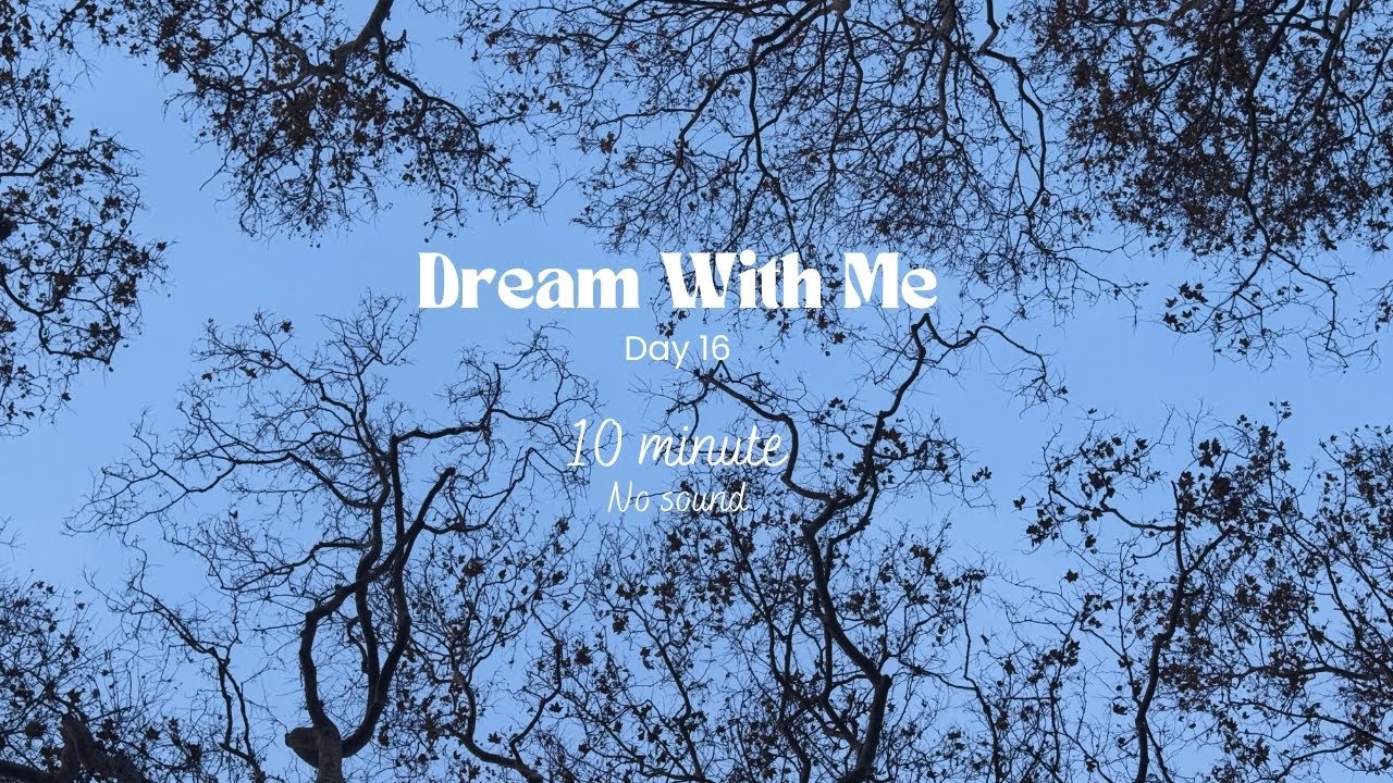 Dream with me 🐢 10 minutes (no sound)