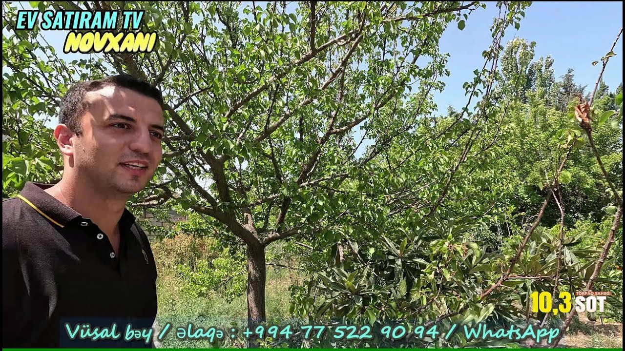 🌟TƏLƏSİN! 🔥155 000 (185 000) Manata Endirildi! 🏡10 Sotda Kupçalı  Ev Yola Yaxın Novxanıda Satılır