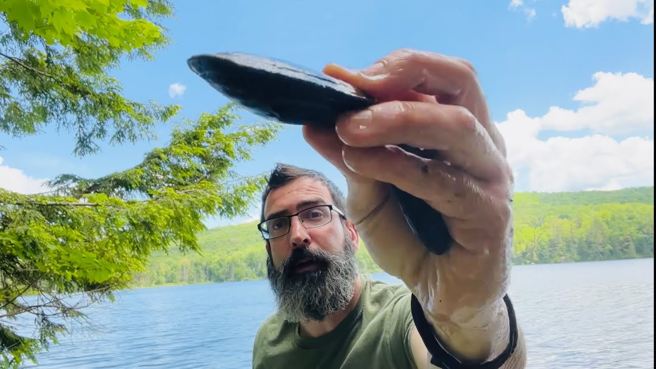 Catch and cook Freshwater Shellfish and Dandelion greens