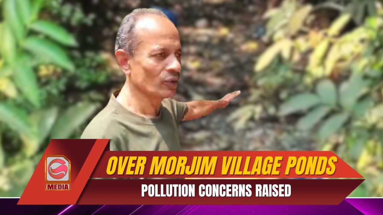 Pollution Concerns Raised Over Morjim Village Ponds