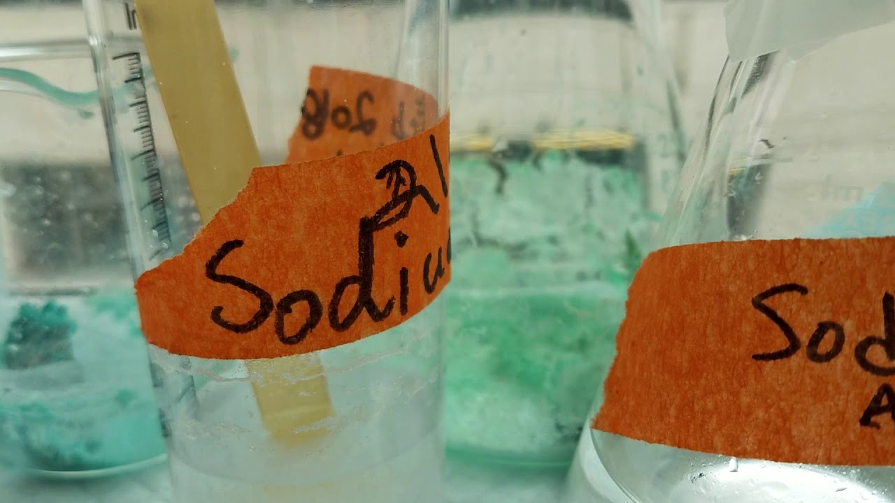 wateraudit