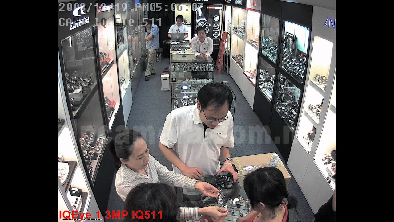 IQInvision 1.3MP IQ511