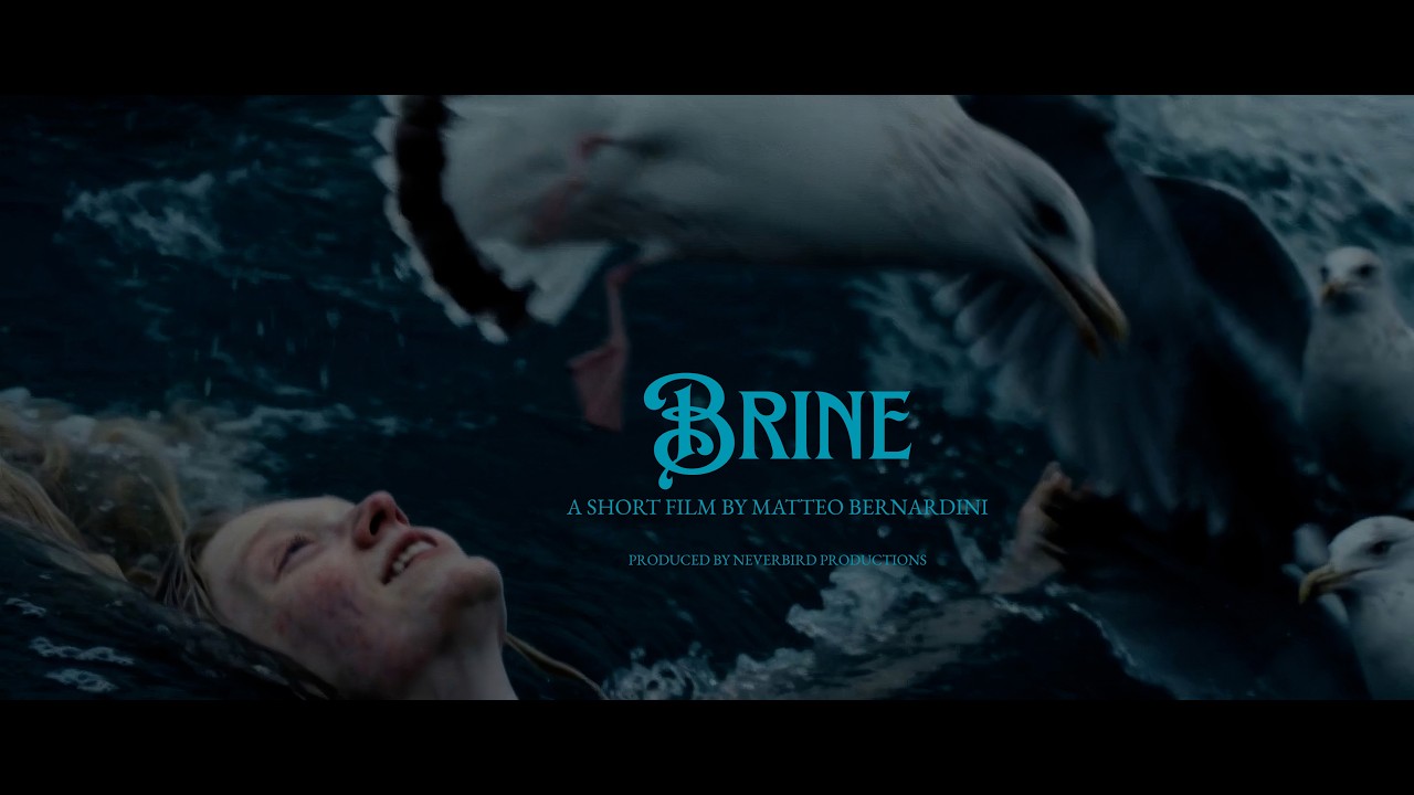 BRINE - film kr&oacute;tkometrażowy Matteo Bernardiniego | Światowy Festiwal Filmowy w Higgsfield 2026