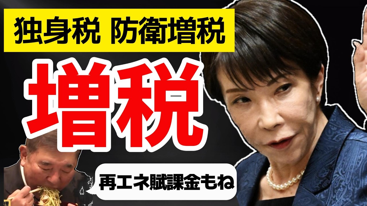 【増税】独身税 過去最高の電気代 再エネ賦課金 防衛増税 手取りが減ります キシキン解説