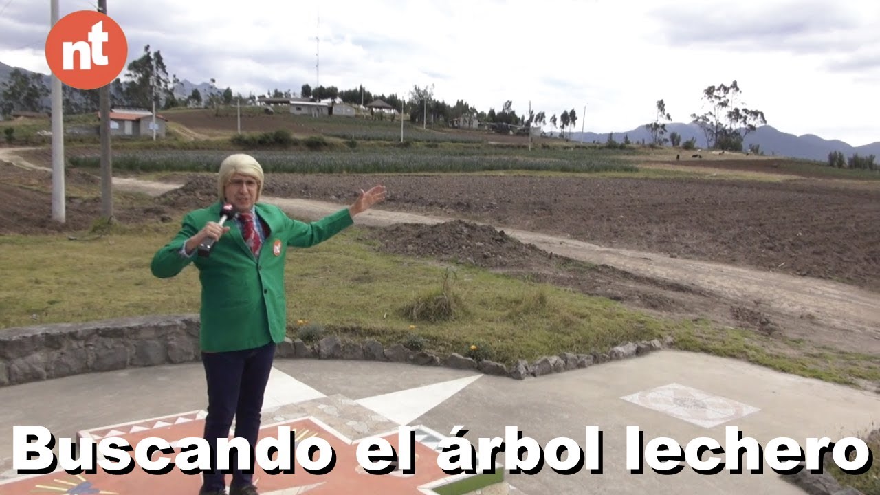 Greengo - El árbol lechero