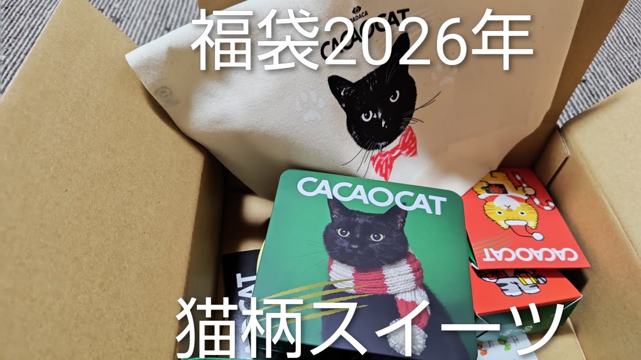 福袋中身大公開　猫柄スイーツ2026年福袋3980円 楽天DADACA ＃JAPAN＃福袋＃お菓子＃ねこ＃かわいい＃癒し