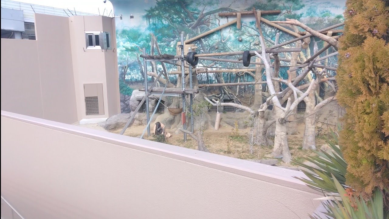 天王寺動物園 3