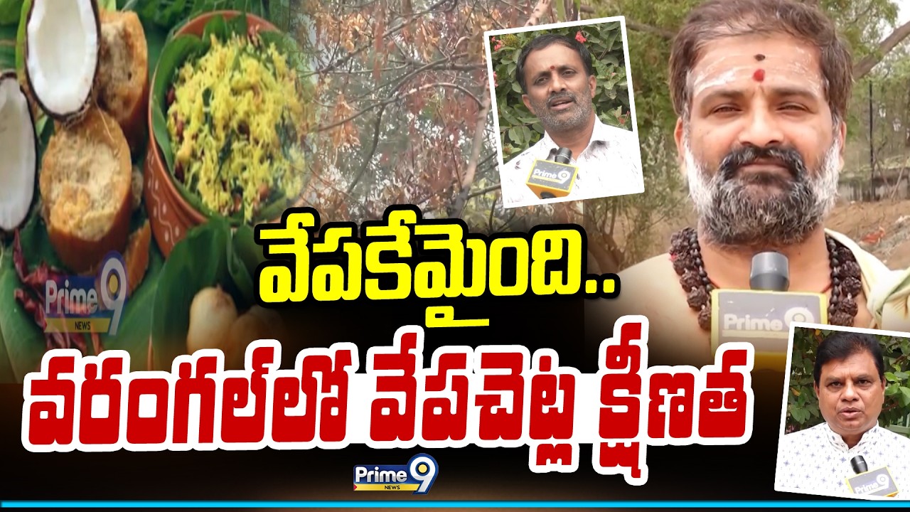 వేపకేమైంది..వరంగల్ లో వేపచెట్ల క్షీణత | Ugadi Neem Special Story | Prime9 News