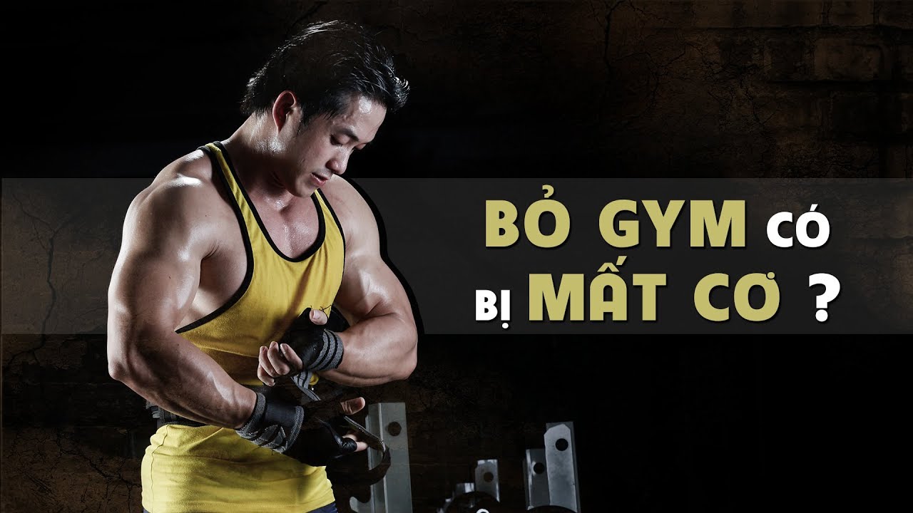DN Vlog - Nghỉ tập GYM có bị xuống cơ bắp không?