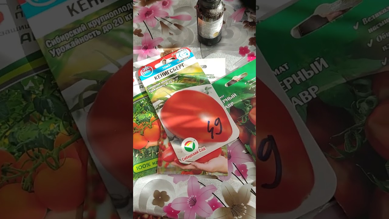 Все Растет,просят  питания,перевалки и ухода!)зима#рассада#город#