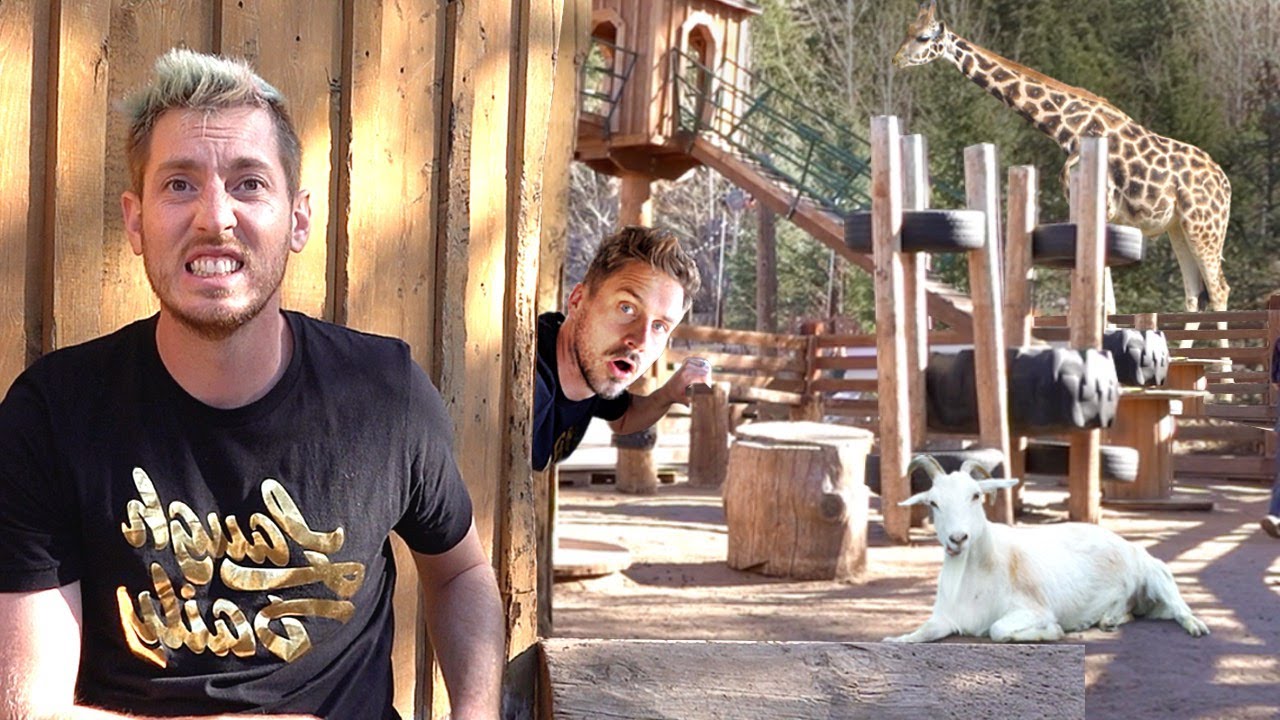 HIDE N SEEK IN A ZOO!