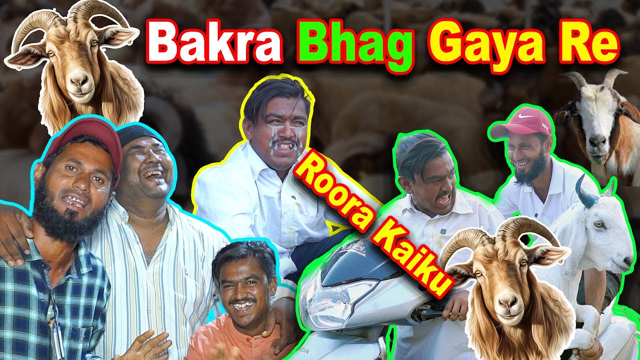 Bakra Bhag Gaya re Rs 60,000/-  ka Mera | Hyderabad Bakra Eid Special Kiraak Comedy | Ali Khan Chotu