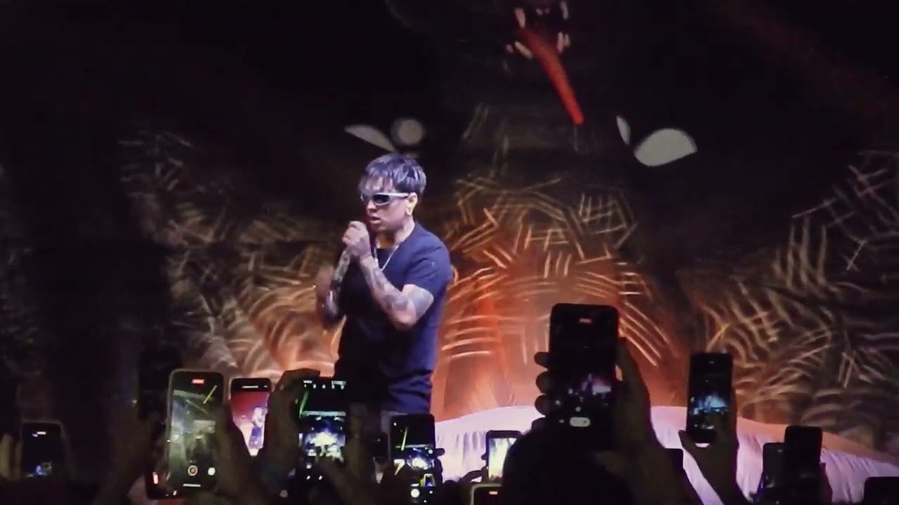 CRO EN PILCHA PALOOZA