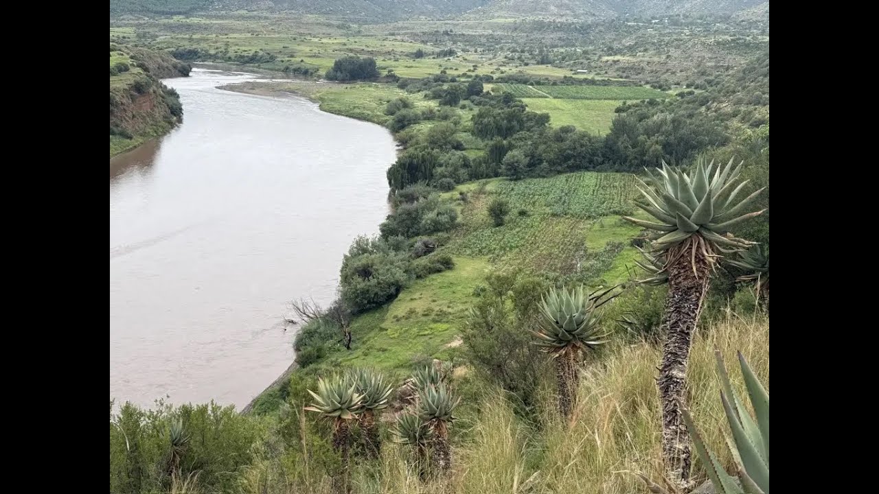 Lesotho’s Living Landscapes: Flora of the Mountain Kingdom