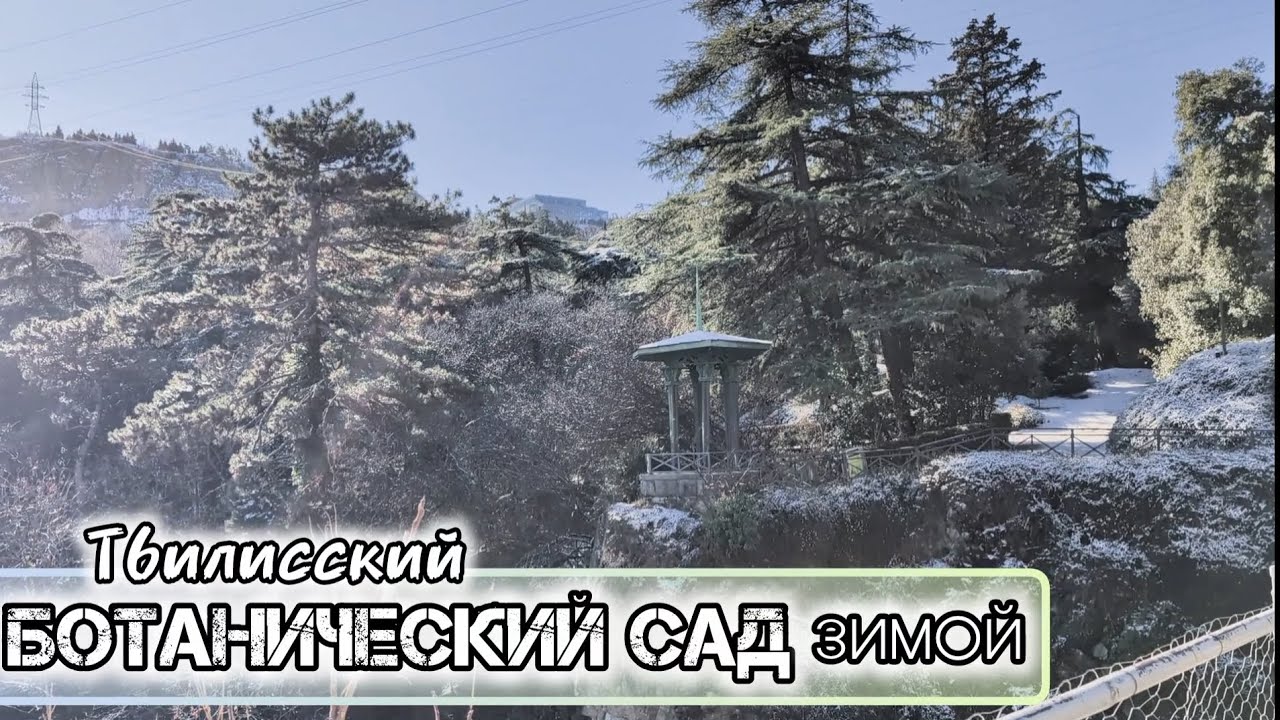 Ботанический сад в Тбилиси Зимой. Грузия. Обзор-тур. Botanical Garden in Tbilisi in winter. Georgia.