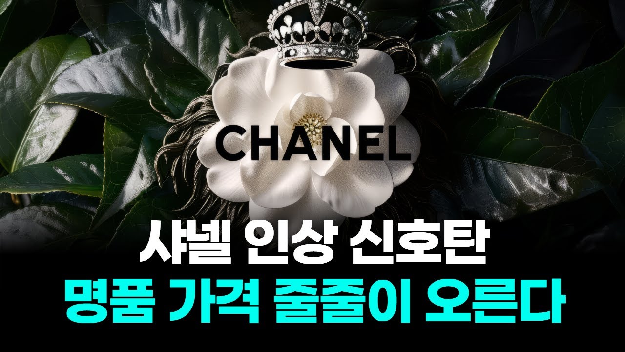 샤넬 인상 신호탄 명품 가격 줄줄이 오른다