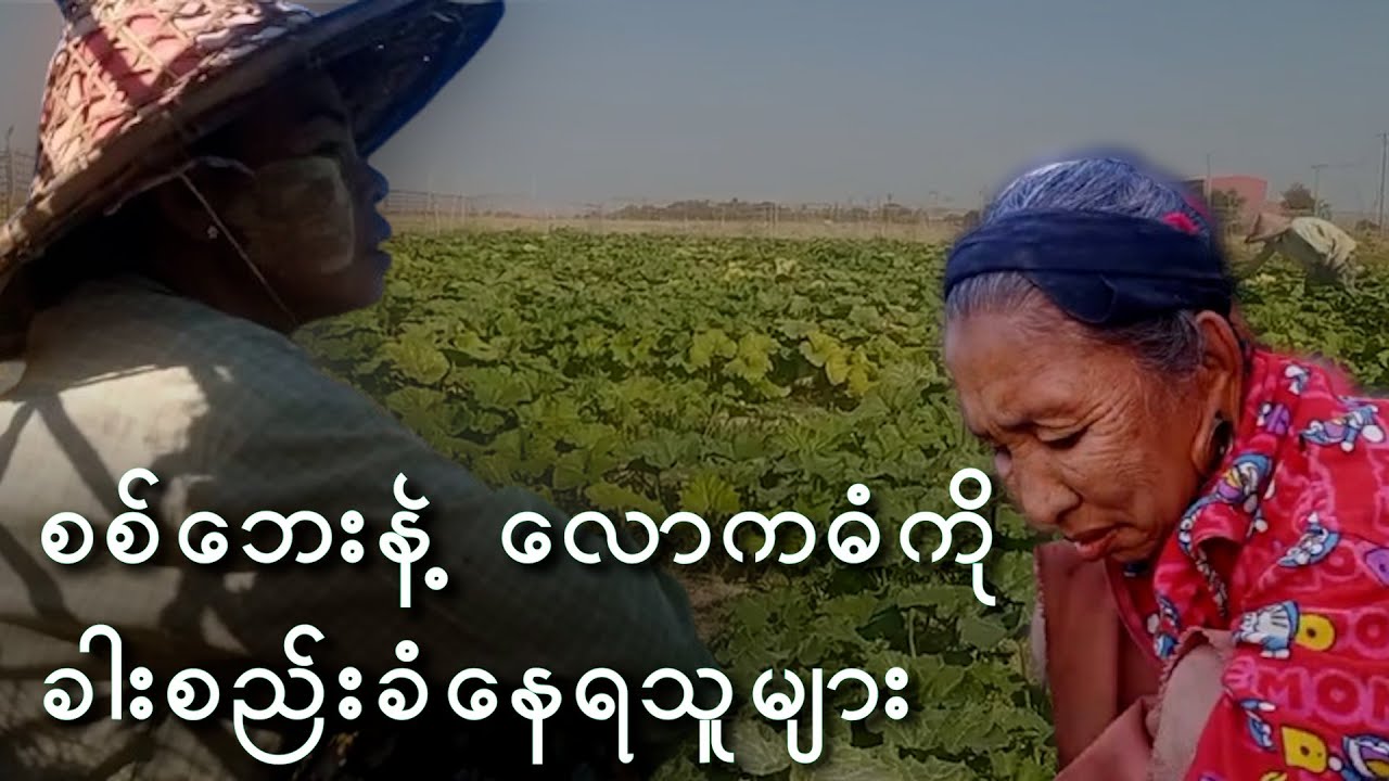 စစ်ဘေးနဲ့ လောကဓံကို ခါးစည်းခံနေကြရသူများ (ရုပ်သံဆောင်းပါး)