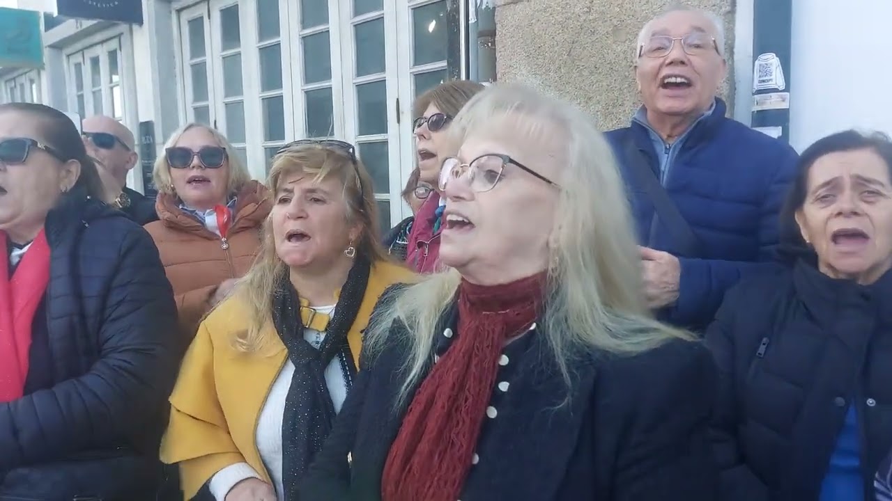 NOVO GRUPO AMIGOS DAS CONCERTINAS DO TERREIRO BARCELOS REALIZAÇÃO @TORRES FRANCISCO TORRES TORRES 