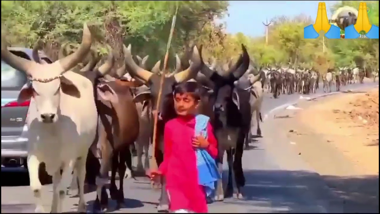 రియల్ వీడియో ఛానల్ సబ్స్క్రైబ్ చేసుకోండి గుజరాత్