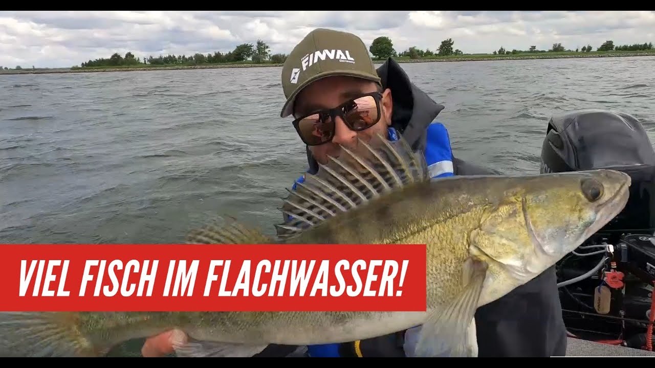 GROßE FISCHE IM FLACHEN WASSER? - Angeln auf Raubfisch in Holland