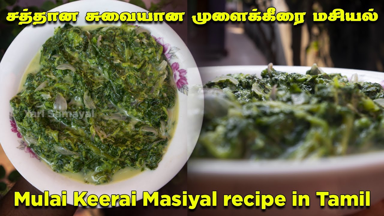 சத்தான சுவையான முளைக்கீரை மசியல் |  Mulai Keerai Masiyal recipe in Tamil | Healthy recipes