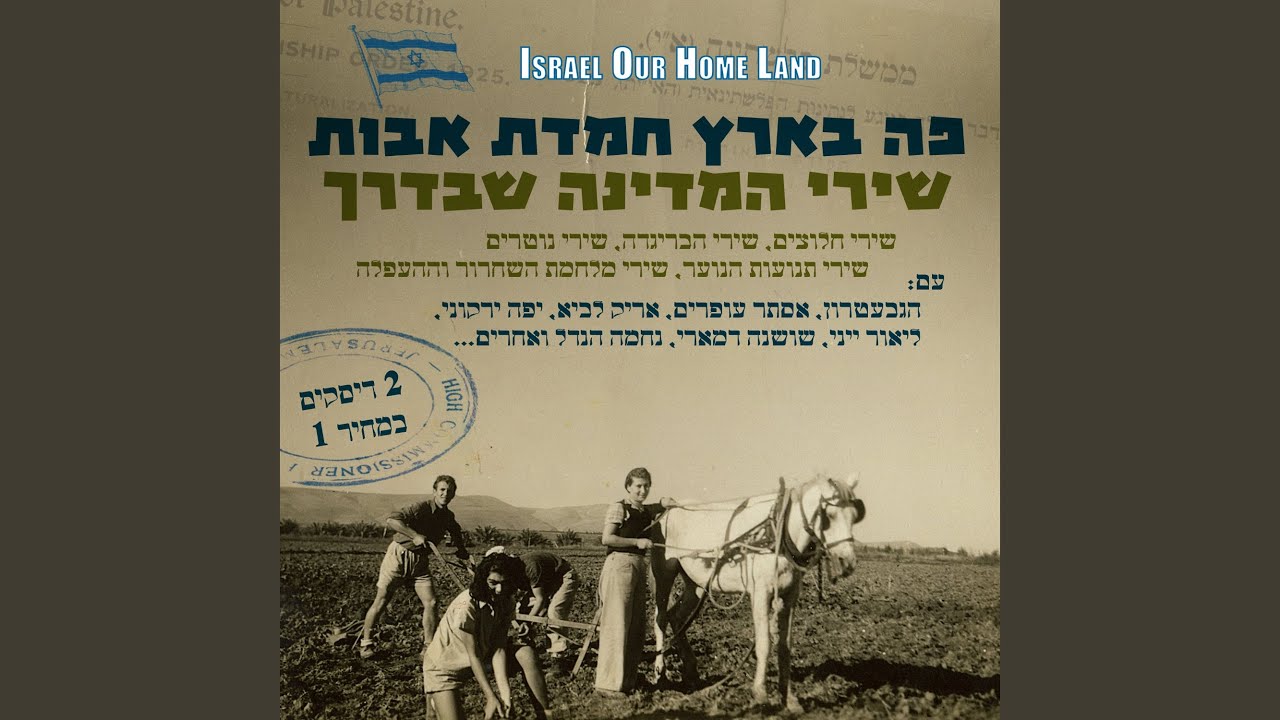 צלצלי קטרזיס